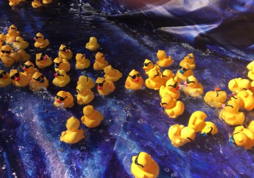 Organizing a Fun Run in Glendale, California: Fundraising Activities to Know
